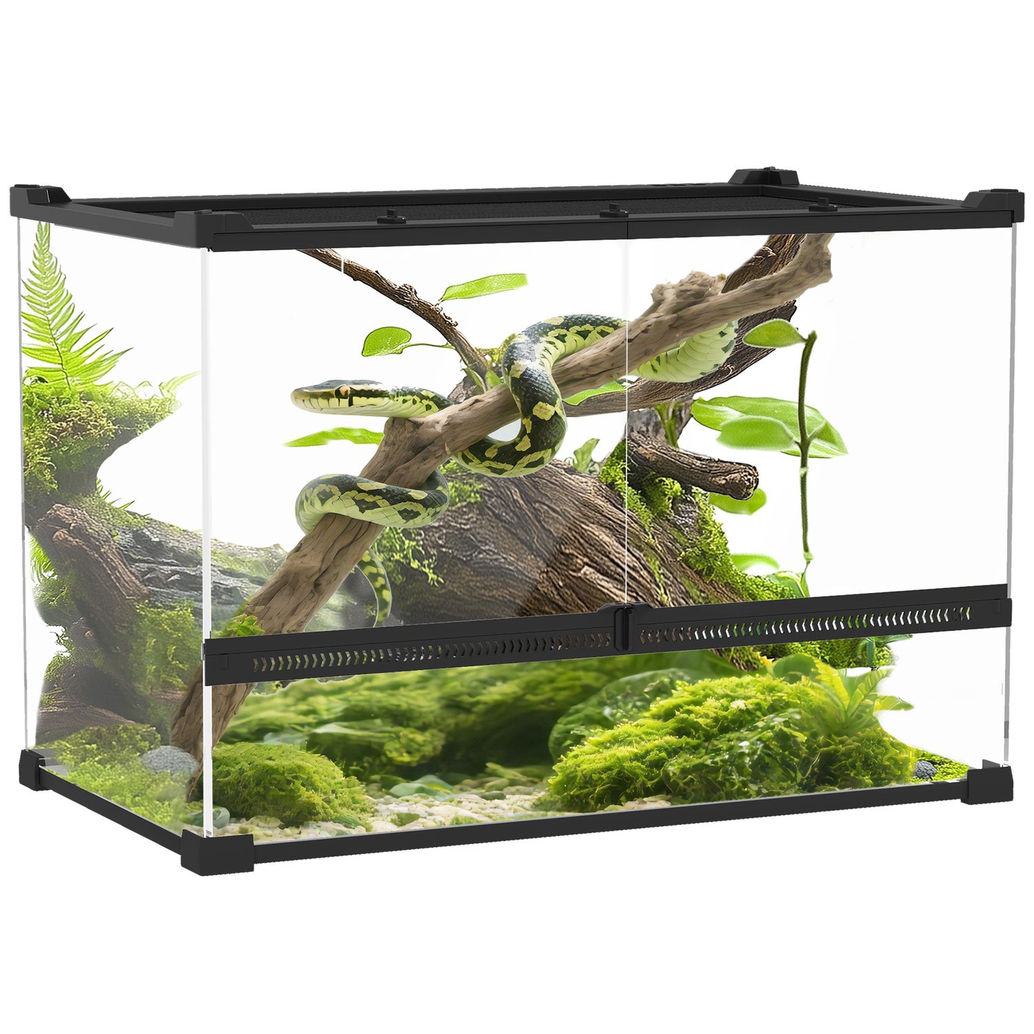 Glas-Terrarium 50x30x35 cm mit wasserdichtem Boden, Knopfschloss &amp; Rundumsicht