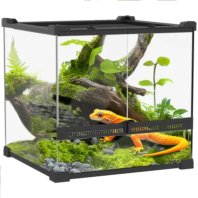 Glas-Terrarium 30x30x30 cm mit wasserdichtem Boden, Knopfschloss &amp; 360° Rundumsicht