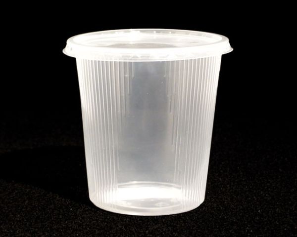 Zucht-Box 10 x 10 cm, Becher mit Deckel