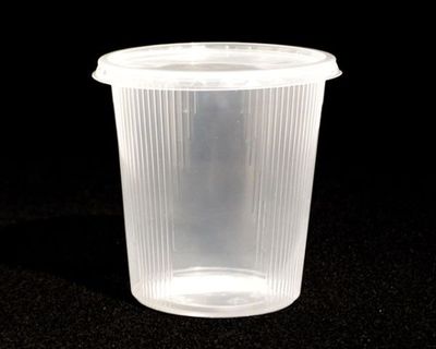 Zucht-Box 10 x 10 cm, Becher mit Deckel