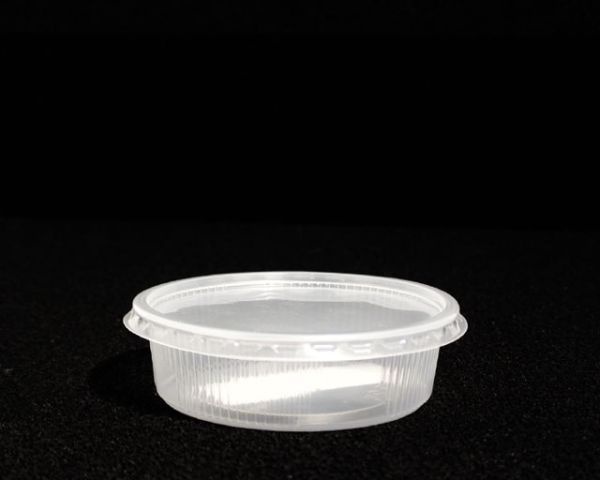 Zucht-Box 280 ml, 12 x 9 x 4 cm, Becher mit Deckel