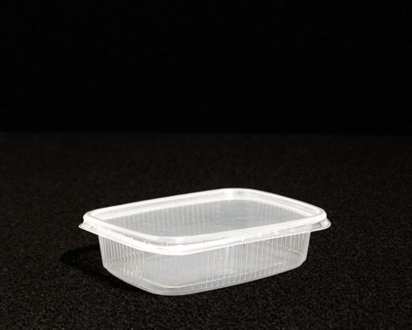 Zucht-Box 11x8x2,5 cm, Becher mit Deckel