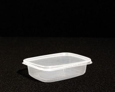 Zucht-Box 11x8x2,5 cm, Becher mit Deckel