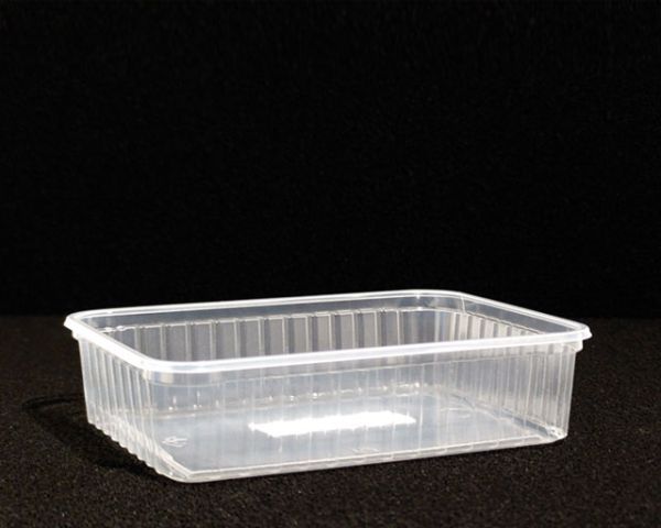 Zucht-Box 18x13x4,5 cm klar, Becher mit / ohne Deckel