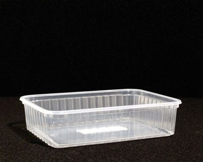 Zucht-Box 18x13x4,5 cm klar, Becher mit / ohne Deckel