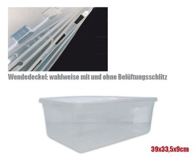 Aufzuchtbox 39x33,5x9 cm extra klar mit Belüftung – stapelbare Klarsichtbox