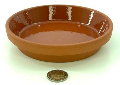 Futterschale glasiert 15,7 x 3,3 cm – Terrarium &amp; Nager Futter- und Trinkschale aus gebranntem Ton