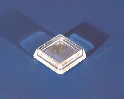 TERRA DRINK 30 x 30 mm – Wassergefäss für kleine Terrarientiere und Insekten