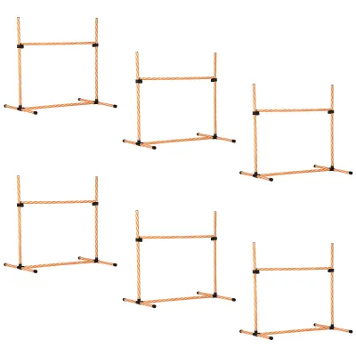 Agility Set Hunde 6-tlg. – Flechtstangen, Pfeife, Tragetasche, Orange