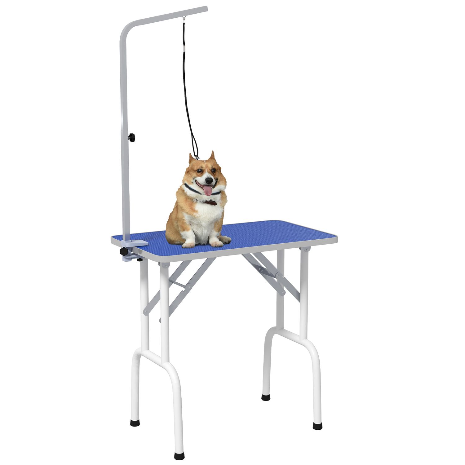 Grooming Table, Hundetrimmtisch Haustier-Pflegetisch – Frisieren, Bürsten, Waschen, Metall, Blau