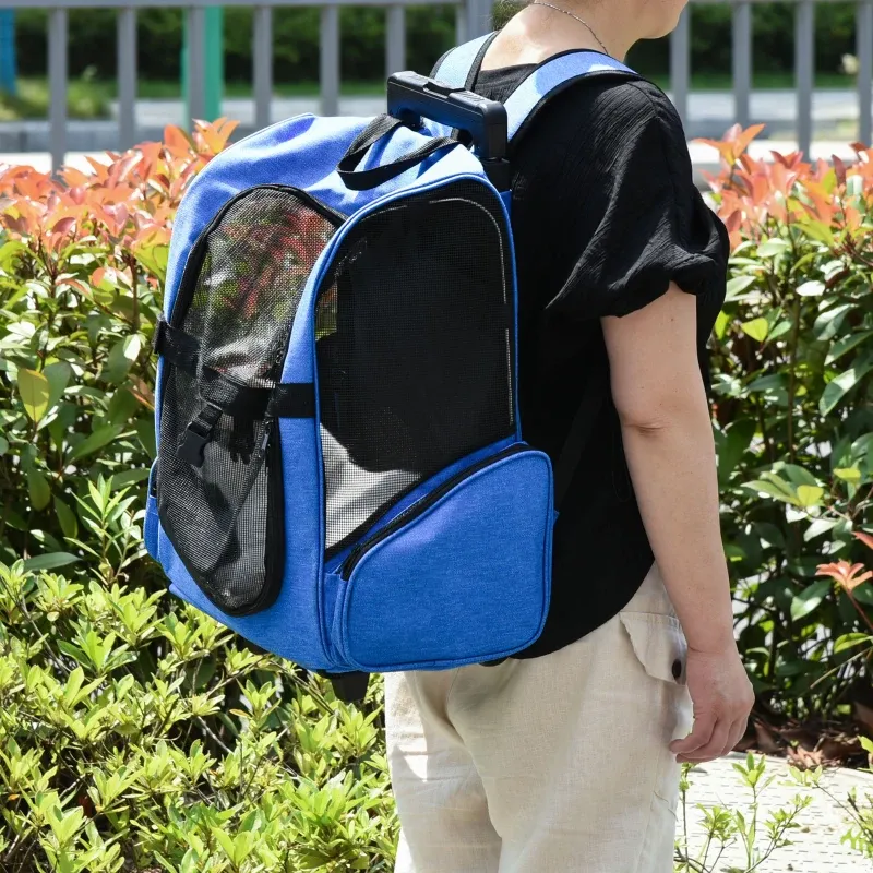 Trasportino Rucksack 2 in 1 – Taschen, Teleskopgriff, Blau