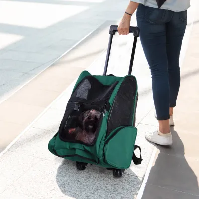 Transportrucksack 2-in-1 – für Hunde & Katzen, Seitentaschen, Teleskopgriff, Grün
