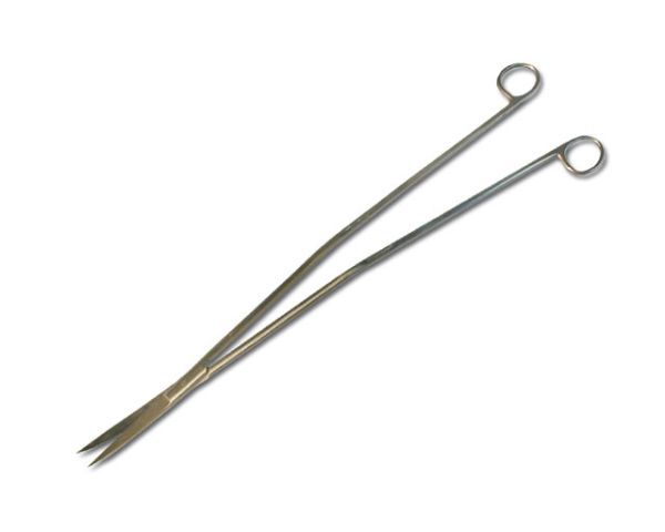 Terrarium Schere S-Form 45 cm – Edelstahl, Präzise &amp; Ergonomisch