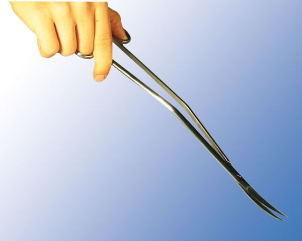 Terrarium Schere S-Form 30 cm – Edelstahl, Präzise &amp; Ergonomisch