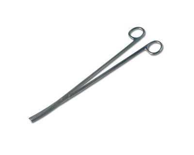 Terrarium Schere Gebogen 30 cm – Edelstahl, Präzise &amp; Ergonomisch