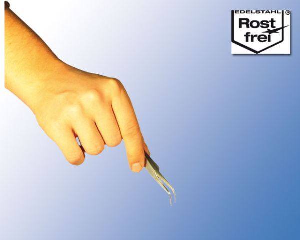 Terrarium Pinzette Fein Gebogen 11,5 cm – Zecken- &amp; Milbenentfernung