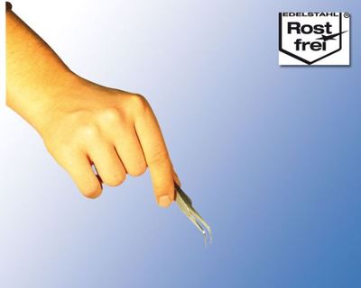 Terrarium Pinzette Fein Gebogen 11,5 cm – Zecken- &amp; Milbenentfernung