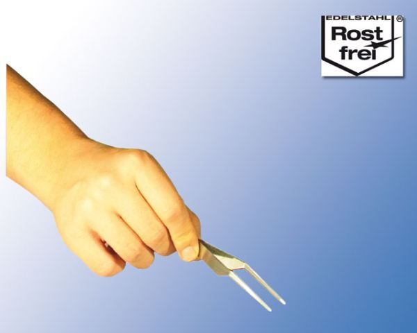 Terrarium Pinzette Weich Spitze Fein – Insektenpinzette, Behutsam