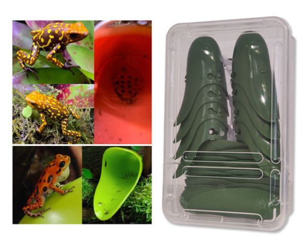 Tad-Pool Dendrobaten Laichdöschen 8er – Dunkelgrün, Bromelienoptik