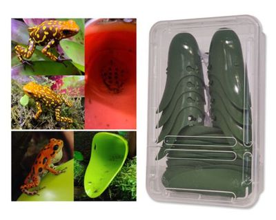 Tad-Pool Dendrobaten Laichdöschen 8er – Dunkelgrün, Bromelienoptik