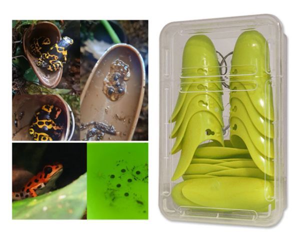 Tad-Pool Dendrobaten Laichdöschen 8er – Hellgrün, Bromelienoptik