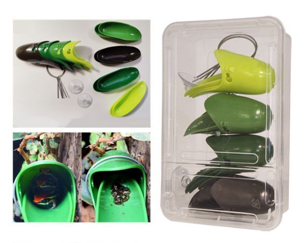 Tad-Pool Dendrobaten Laichdöschen 4er Set – 4 Farben, Bromelienoptik