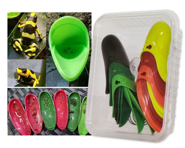 Tad-Pool Dendrobaten Laichdöschen 6er – 6 Farben, Bromelienoptik