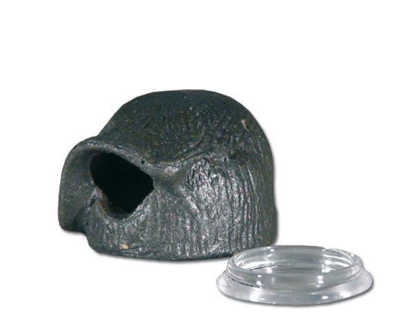 Dendrobaten Hütte Rund M – Mit Legeschale, Deko &amp; Höhle