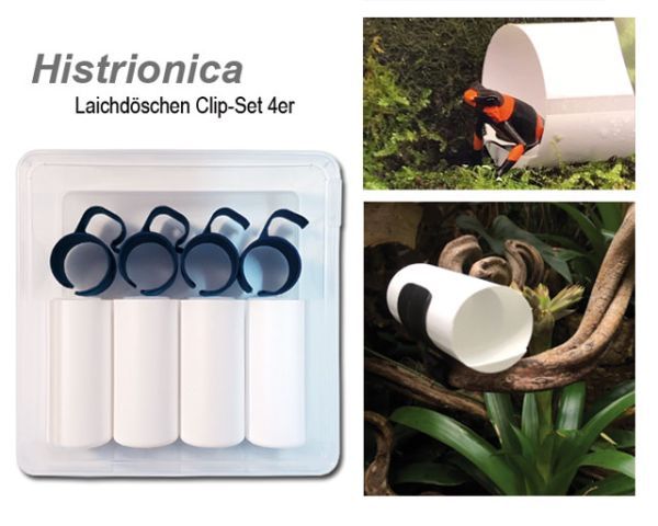 Histrionica Dendrobaten Laichdöschen Clip-Set 4er – Praktisch &amp; Fixierbar