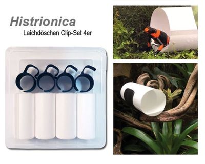 Histrionica Dendrobaten Laichdöschen Clip-Set 4er – Praktisch &amp; Fixierbar