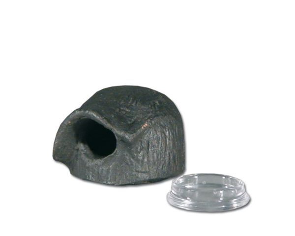 Dendrobaten Hütte Rund S – Mit Legeschale, Deko &amp; Höhle