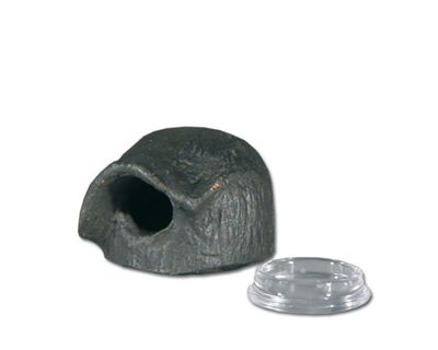 Dendrobaten Hütte Rund S – Mit Legeschale, Deko &amp; Höhle