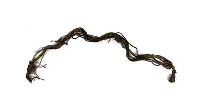 Terrarium Liane L – 100x9 cm, Flexibel, Klettermöglichkeit