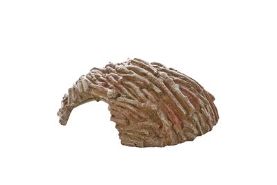 Terrarium Woody Home L – 30x23,5x11,8 cm, Astgeflecht-Höhle, Versteck &amp; Deko