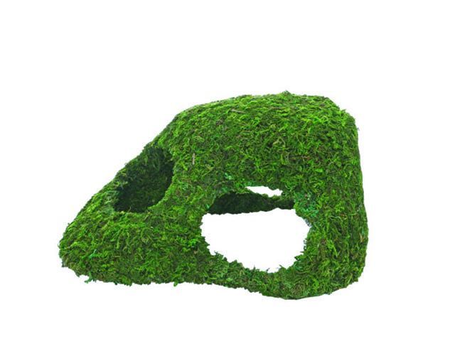 Terrarium Jungle Cave 4 – 25,5x14x11,5 cm, Mooshöhle, Rückzug &amp; Brut