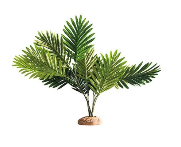 Terrarium Palme 60x40x55 cm – Natürliche Optik, Sitz- &amp; Versteckmöglichkeit