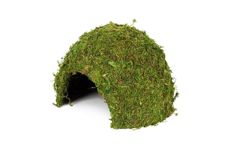 Terrarium Jungle Cave 3 – 23x23x18 cm, Mooshöhle, Rückzug &amp; Brut