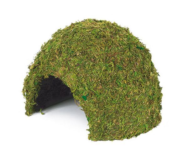 Terrarium Jungle Cave 2 – 17x17x12 cm, Mooshöhle, Rückzug & Brut