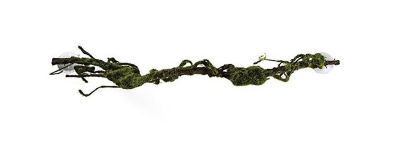 Terrarium Liane M – 80x6 cm, Flexibel, Klettermöglichkeit