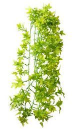 Terrarium Climber Ivy 70 cm – Künstliche Pflanze, Hängend, Ungiftig