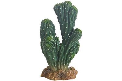 Terrarium Kaktus Victoria 19 cm – Künstliche Dekoration, Ungiftig &amp; Pflegeleicht