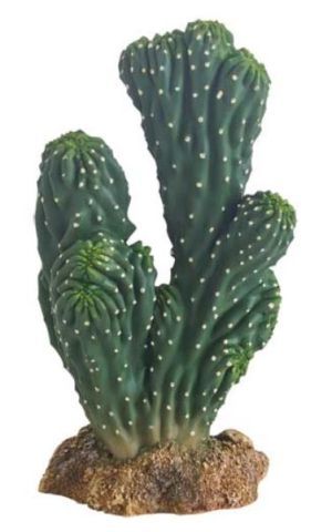 Terrarium Kaktus Victoria 19 cm – Künstliche Dekoration, Ungiftig & Pflegeleicht
