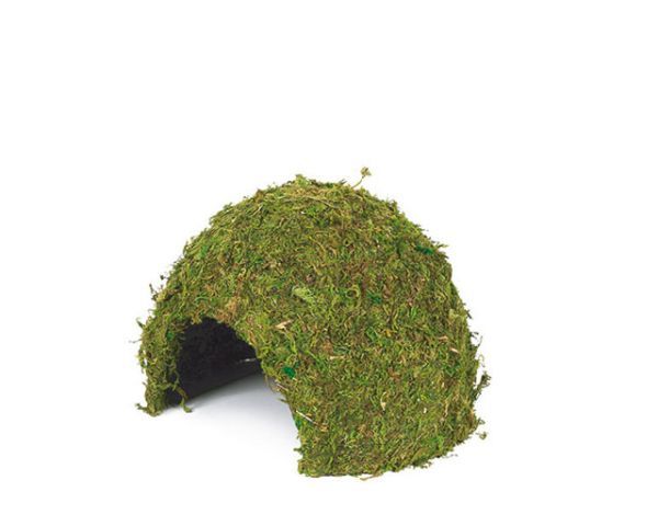 Terrarium Jungle Cave 1 – 11x11x9 cm, Mooshöhle, Rückzug & Brut