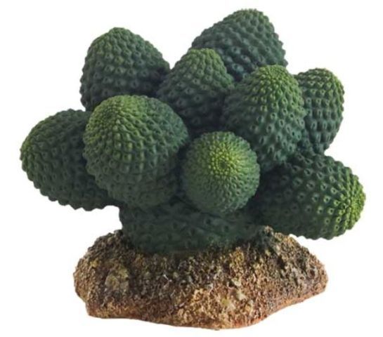 Terrarium Kaktus Atacama – 7 cm, Künstliche Pflanze, Ungiftig &amp; Pflegeleicht
