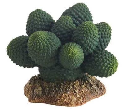 Terrarium Kaktus Atacama – 7 cm, Künstliche Pflanze, Ungiftig &amp; Pflegeleicht