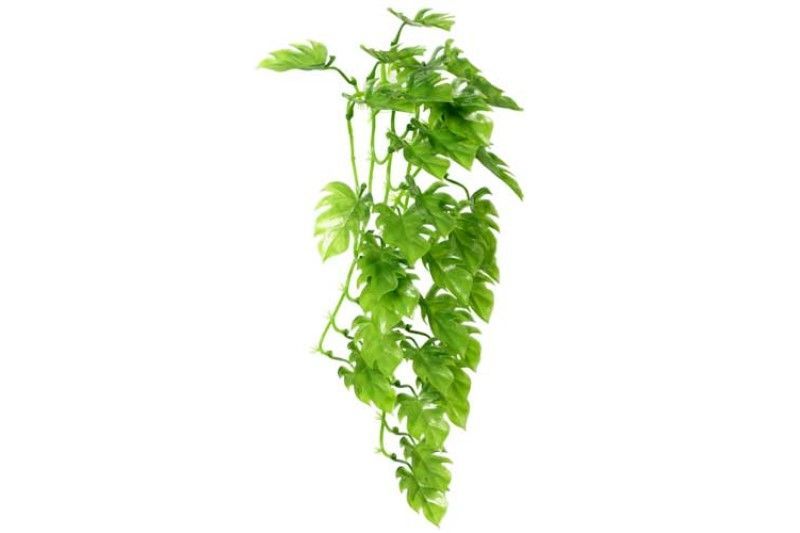 Terrarium Climber Philo 37 cm – Künstliche Pflanze, Hängend, Ungiftig