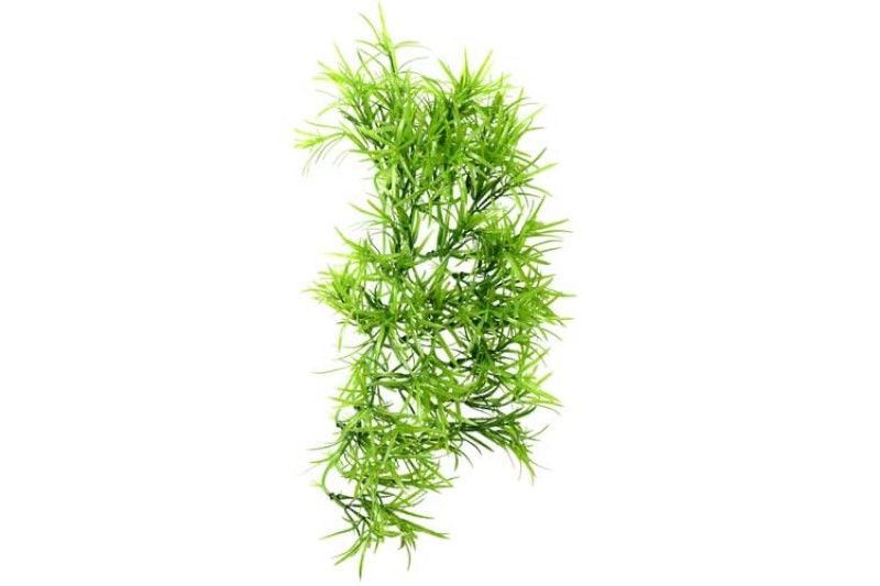 Terrarium Climber Tropica 37 cm – Künstliche Pflanze, Hängend, Ungiftig
