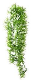 Terrarium Climber Tropica 37 cm – Künstliche Pflanze, Hängend, Ungiftig