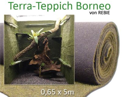 Terrarium TERRA-TEPPICH Borneo 5m – Natürliches Substrat, Feuchtigkeitsspeichernd