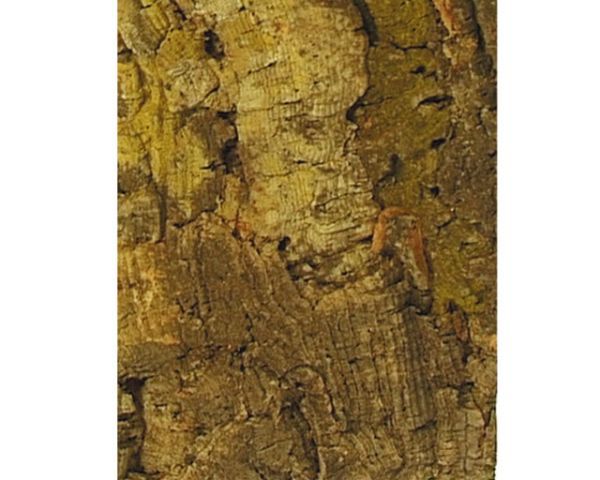 Terrarium-Rückwand Zierkork Platte 90x60 cm – Strukturplatte, Deko